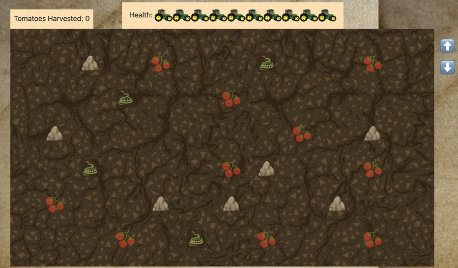 Dirt field with tomatoes, snakes and rocks.