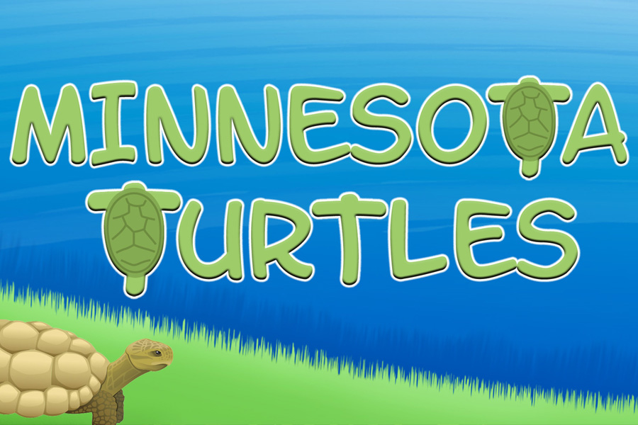 Minnesota Turtles