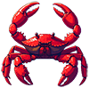 crab